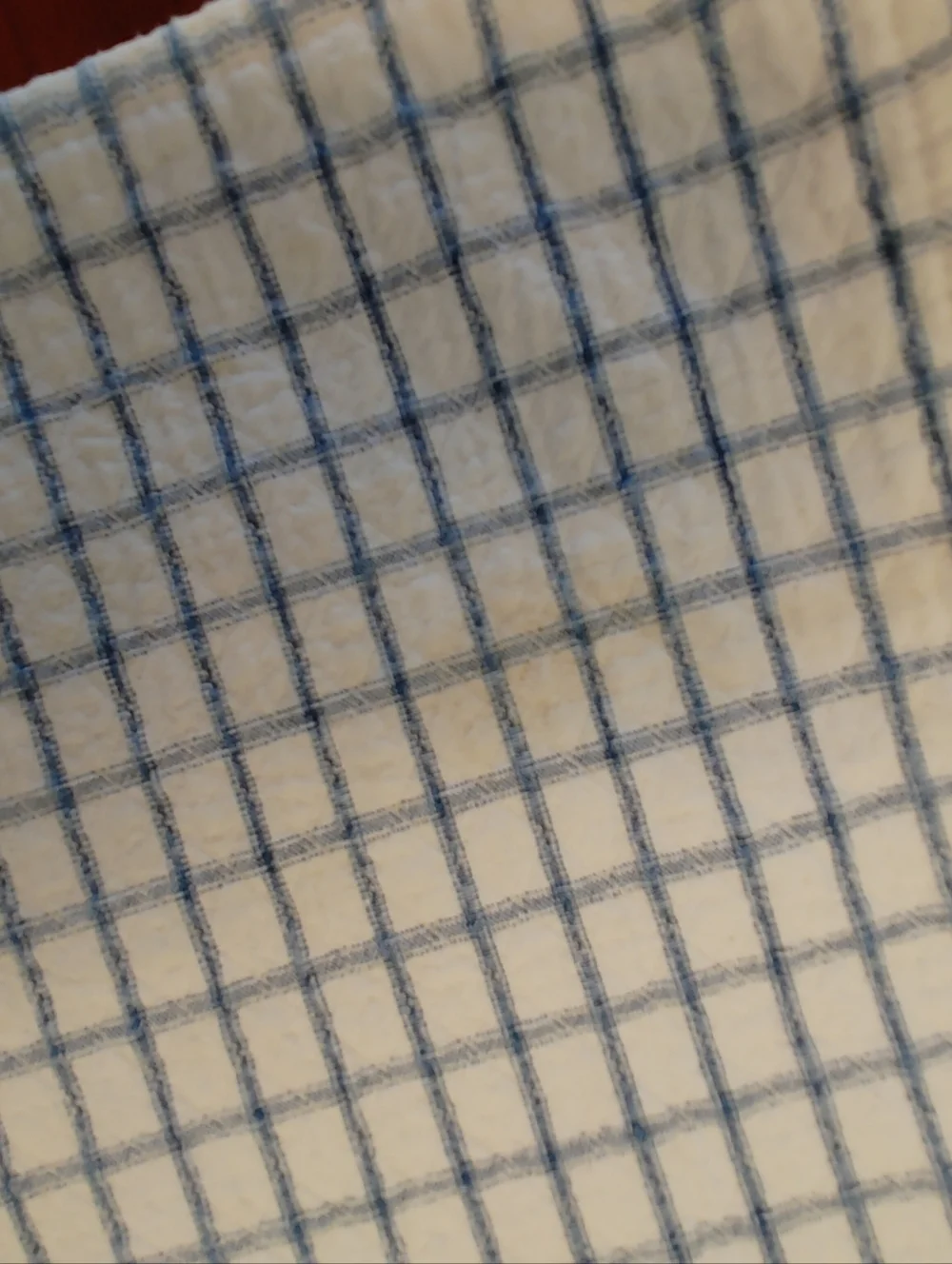 VTG White and Blue Grid Cotton Placemats - Set of 4 - 21x13